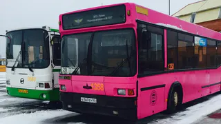 «Зарплату еще за декабрь не получили!» - сотрудники Автоколонны «1310» о работе в общественном транспорте