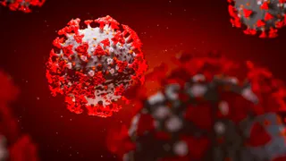 В Брянске за сутки было подтверждено 91 случаев Covid-19