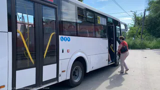 Мэрия: льготы на маршрутку №75 вернутся в июле