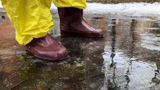 Экстремально теплая погода: синоптики объяснили весну в январе