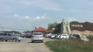 Около ряжского зоопарка произошло серьезное ДТП