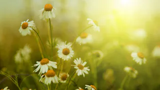 1 мая в Киржаче пройдет игровая программа «БезУмное лето!»