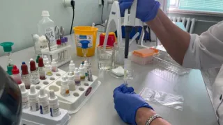 Умный и еще умнее: группа крови, обладатели которой имеют высокий интеллект