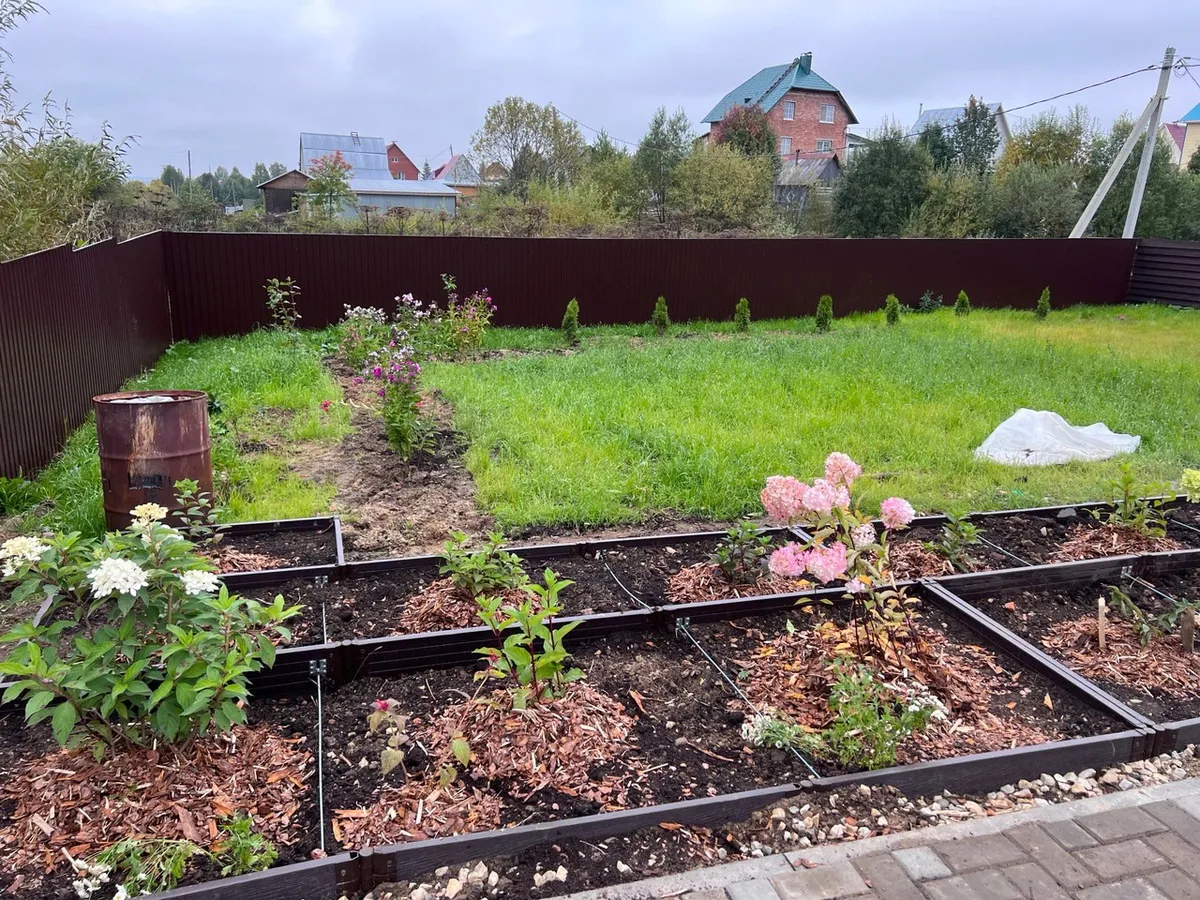 В мае всегда закапываю в огороде тряпку — совет от французских фермеров, который удивит и пригодится