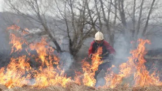 Могли сгореть дома: в Рязанской области из-за замыкания подземного кабеля случился пожар