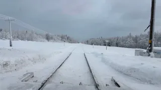 Грузовой поезд сбил "Газель" на переезде в Коми