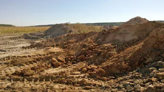 В Брянской области 116 га сельскохозяйственных земель отдали под промышленность