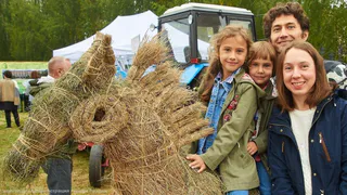 Петух из сена: в Лесопарке поставят фигуры из соломы