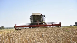 Брянский губернатор спрогнозировал динамичное развитие сельского хозяйства