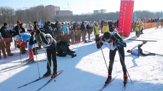 "Лыжня России 2024" пройдет во Владимире 10 февраля