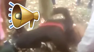 Избивали дети - накажут учителей: следователи заинтересовались роликом с травлей девочки в Новомичуринске