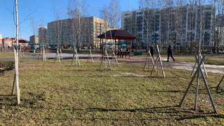 В Пензенской области в рамках акции «Сохраним лес» было высажено более 60 тыс. деревьев