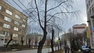 Челябинск встречает ноябрь холодной и сырой погодой