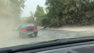 В Никуличах на дорогу упал столб с проводами. На месте ЧП образовалась пробка. Видео