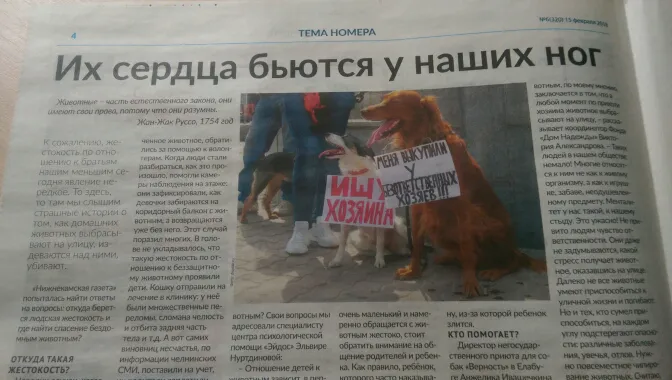 Читательница «Нижнекамской газеты»: «Спасибо, что поднимаете тему бездомных животных!»