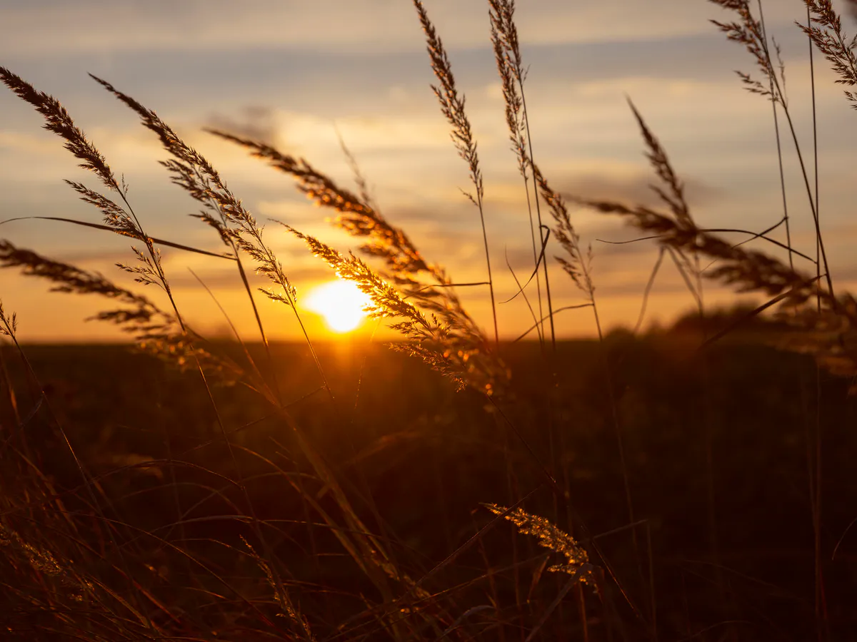 Вспышки на Солнце сотрясают атмосферу Земли: учёным впервые удалось доказать синхронизацию пульсаций Солнца и атмосферы нашей планеты
