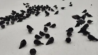 Усинск кутается в объятиях апрельского холода: прогноз на 10 апреля