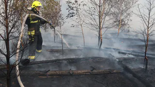 В Рязанской области площадь лесных пожаров составила 6012 гектаров