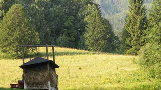 Устали полоть? Выбираем леску-убийцу для триммера: какая СРАЗУ покончит с вашими сорняками!