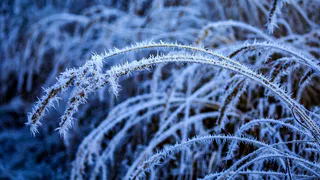 Зима вдарит морозами: Синоптики предупредили россиян о надвигающихся холодах