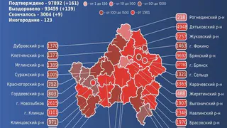 Девять жителей Брянской области умерли от COVID-19 за сутки