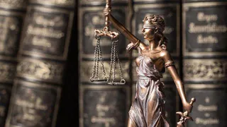 Специалисты рассказали, что обратиться в суд, можно не выходя из дома