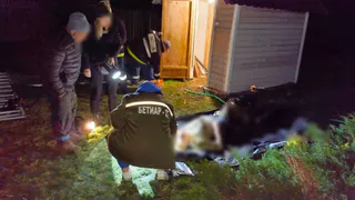 В Киржачском районе пожилой мужчина погиб после падения в колодец