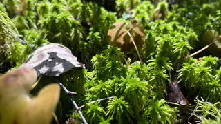 Чувашия ловит ускользающее лето: погода в регионе 14 сентября