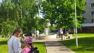 МЧС: на Рязань надвигается аномальная жара до 33 градусов