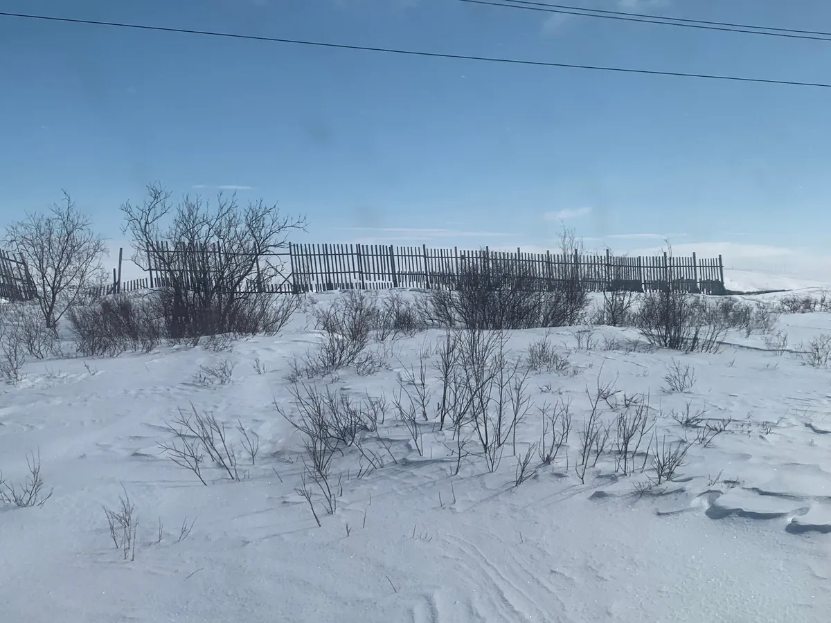 "Антициклон похоронит всю Россию под снегом, сколько осадков не было за всю историю метеонаблюдений": прогноз Вильфанда