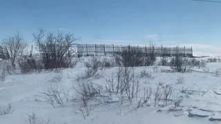 Синоптики Челябинской области изменили прогноз погоды на понедельник