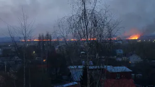 В Рязани вновь начался пал травы