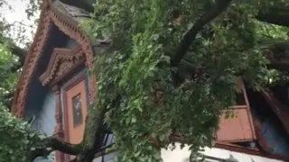 “Чиновничья лень”: эксперт считает, что дом на улице Щедрина вряд ли восстановят