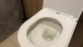 Почему нельзя оставлять открытой крышку унитаза - запомните на всю жизнь