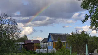 Коллега съездил на дачу к родне и вернулся только со своими вещами: чего им, жалко что ли – вот почему его не угостили урожаем
