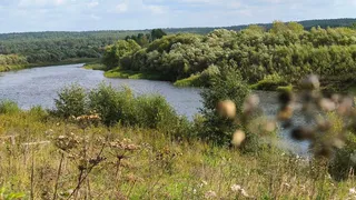 В Магнитогорске пройдёт дождь