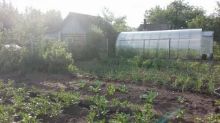 Указ подписан. Всех, у кого есть дача или огород, ждет сюрприз в феврале