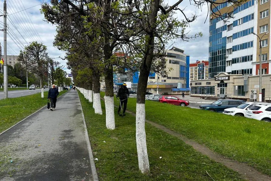 В Чебоксарах кипит работа по созданию цветущего облика города