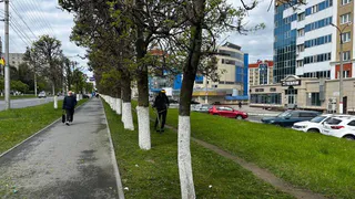 В Чебоксарах кипит работа по созданию цветущего облика города