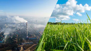 Где в Рязани дышать хорошо? Эксперты назвали район для жизни с самой экологичной обстановкой