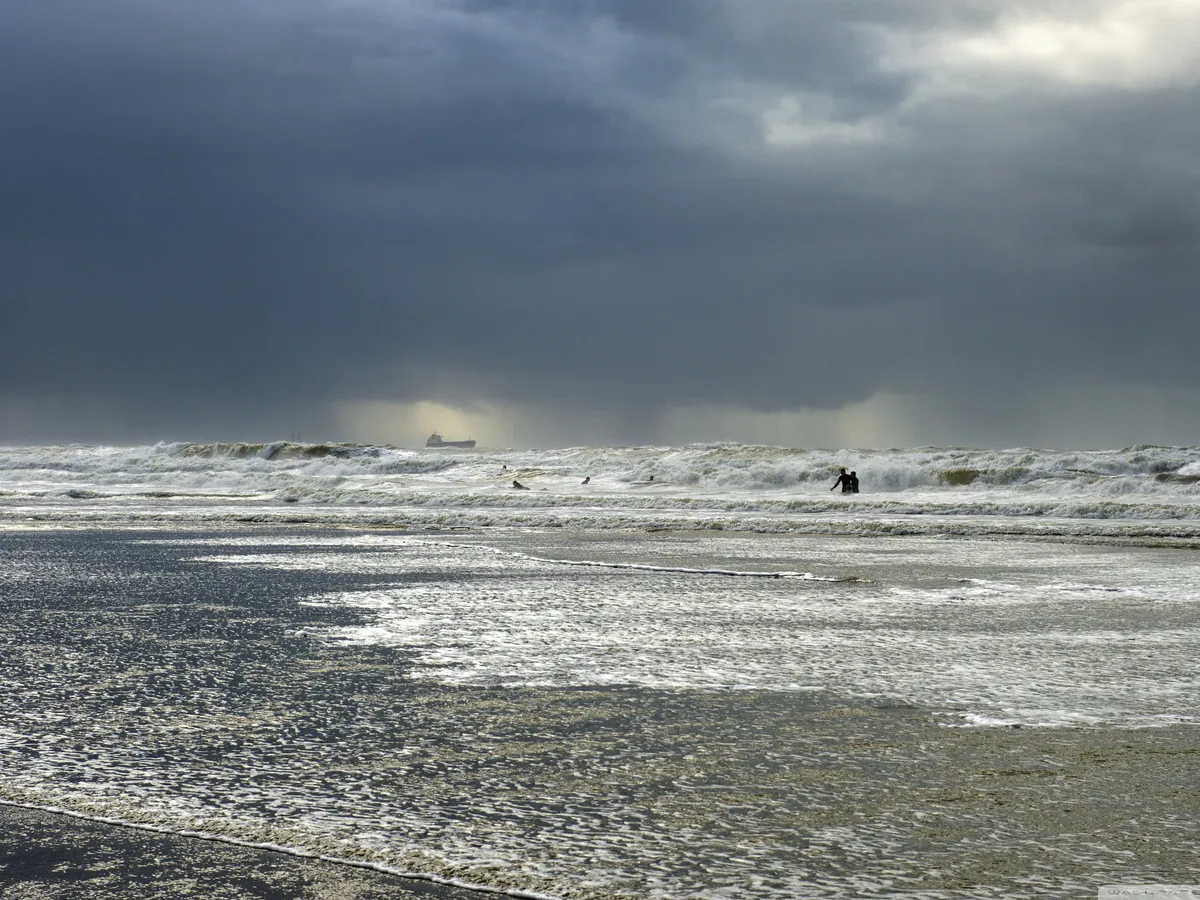 После такого отдыха хочется подать в суд: откровения туристов о Черноморском побережье