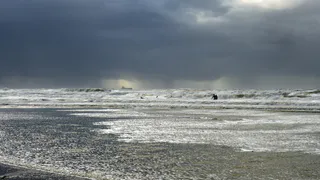 После такого отдыха хочется подать в суд: откровения туристов о Черноморском побережье