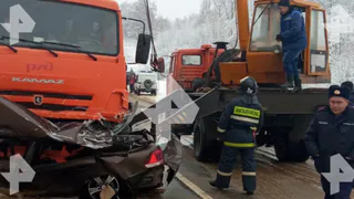 ДТП в Подмосковье: прокуратура начала проверку после гибели четверых рязанцев