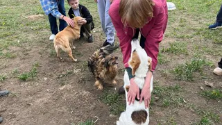 Школьники Судогодского района привезли подарки питомцам приюта «Дорога добра»