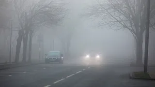 Туман в Рязанской области останется до 10 часов 22 сентября