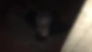 Лежал в подъезде: в доме на Лесопарковой нашли труп