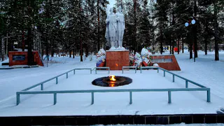 Глава СК РФ поручил возбудить уголовное дело из-за памятника в Печоре