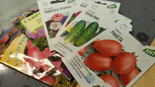 Купила красивые семена по картинке, посеяла и пожалела — теперь выбираю совсем по-другому