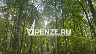 За неделю число пострадавших от нападения клещей выросло в области