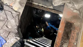 Рязанские волонтеры спасли провалившуюся в подвал заброшенного дома овчарку